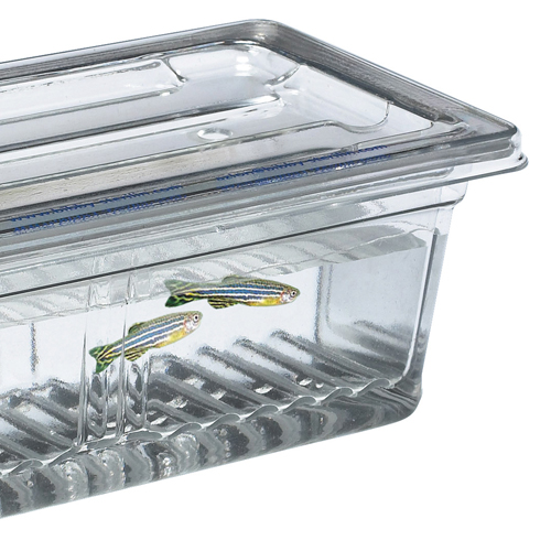 Dura-Cross™ Zebra Fish Breeding Tank