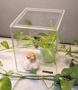 5 Gallon Acrylic Terrarium 5 Gallon Acrylic Terrarium