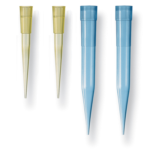 Pipette Tips Sizes