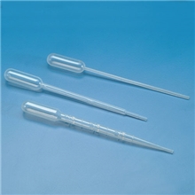 Transfer Pipet