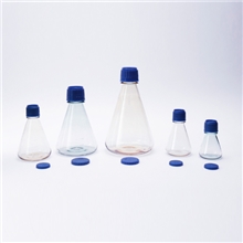 Sterile Erlenmeyer Flask