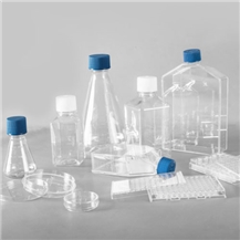 Cell Culture Consumables